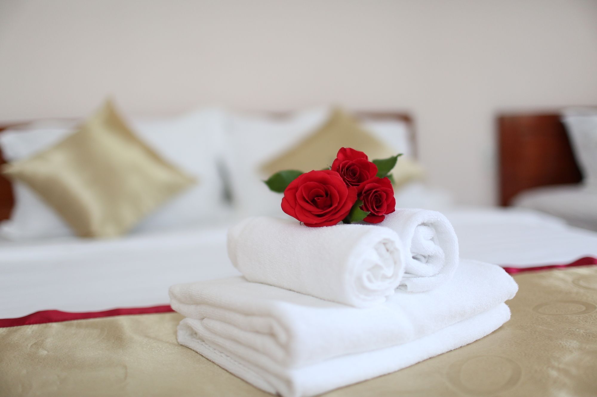 Thuan Hai Hotel Дуонг-Донг Экстерьер фото